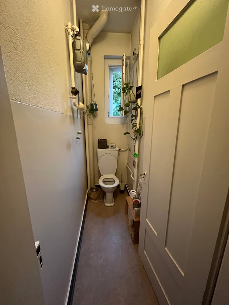 A narrow bathroom with a toilet, a small wooden stool holding cups, and a small plant near the window.