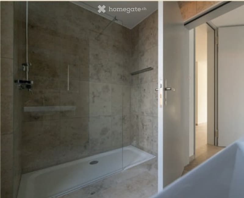 Modern bathroom with a large shower stall, glass shower door, built-in shelf, and a bathtub. The walls are tiled in a neutral color scheme, and the space is well-lit.