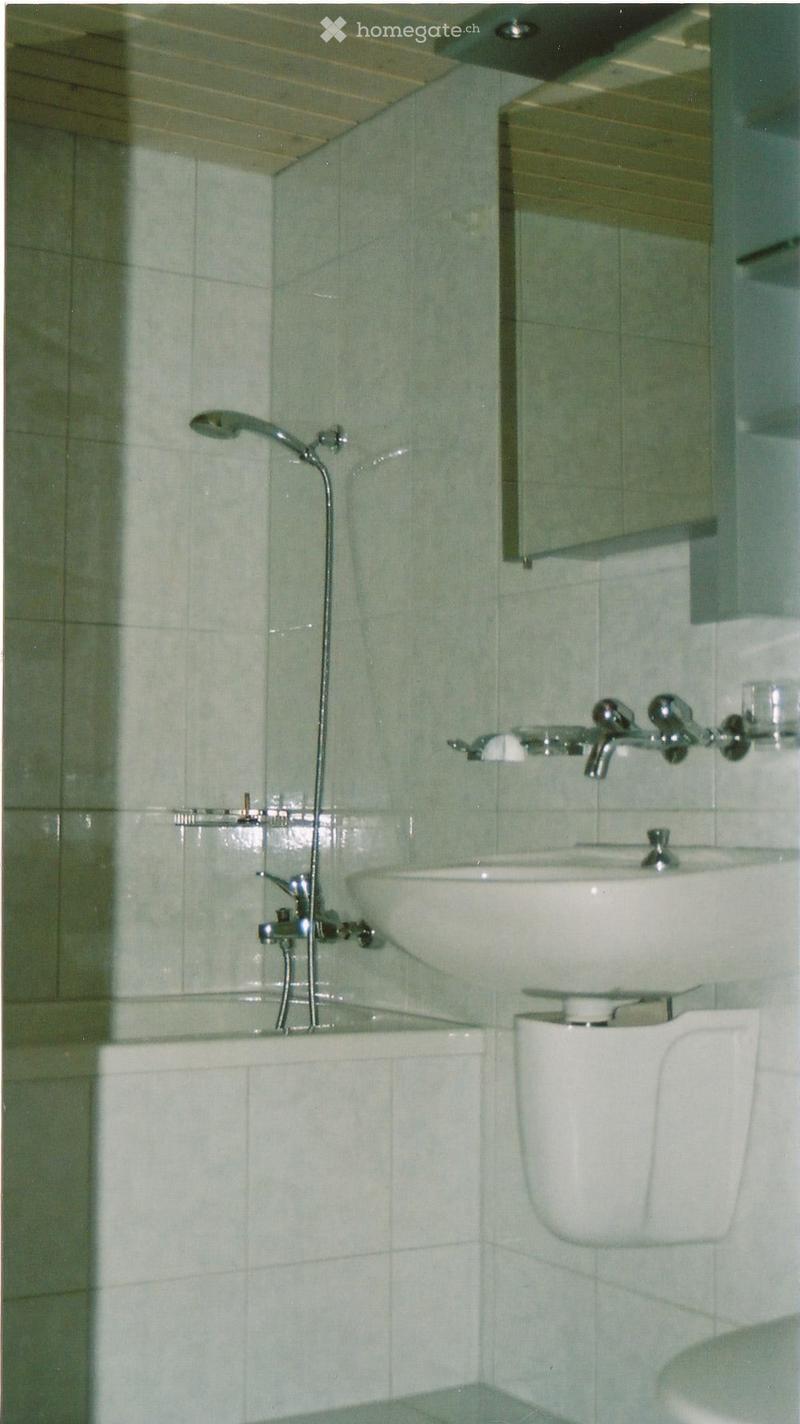 Renovierte, grosse und sehr helle 2.5-Zimmerwohnung (2)