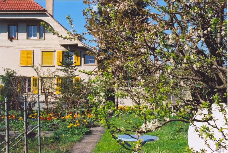 Renovierte, grosse und sehr helle 2.5-Zimmerwohnung (9)