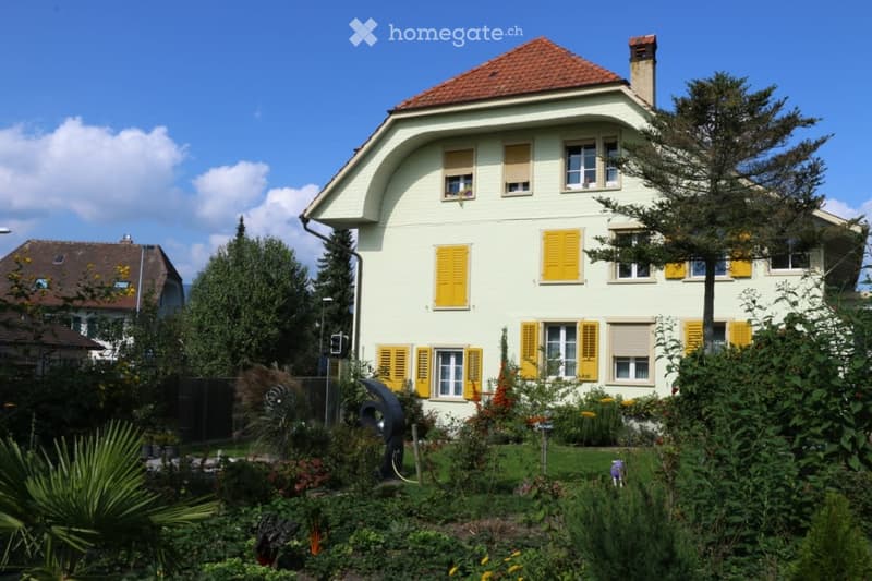 Renovierte, grosse und sehr helle 2.5-Zimmerwohnung (1)