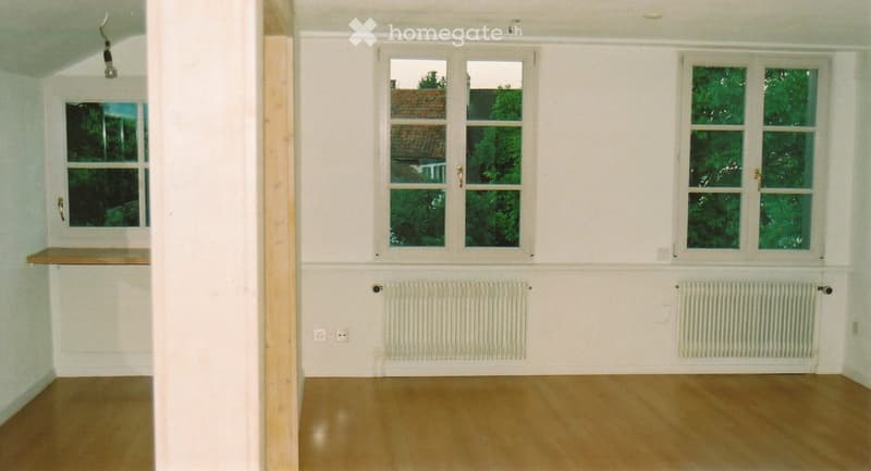 Renovierte, grosse und sehr helle 2.5-Zimmerwohnung (5)