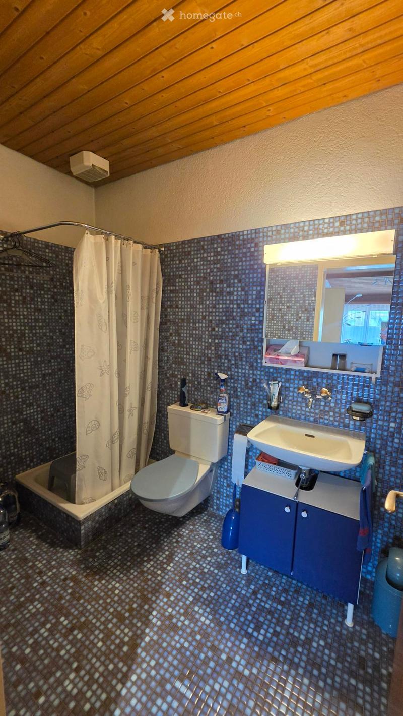 Bathroom with blue mosaic tiles, a toilet, a sink with a cabinet, a bathtub, and a mirror above the sink. The shower curtain features a seashell design.