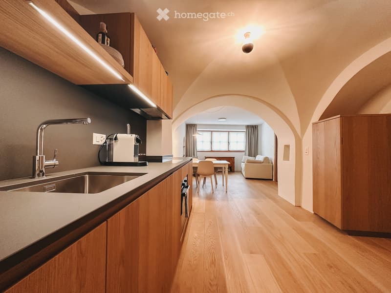 Furnished Room. Modern kitchen with wooden cabinets, stainless steel sink, and a living area with a sofa and dining table.