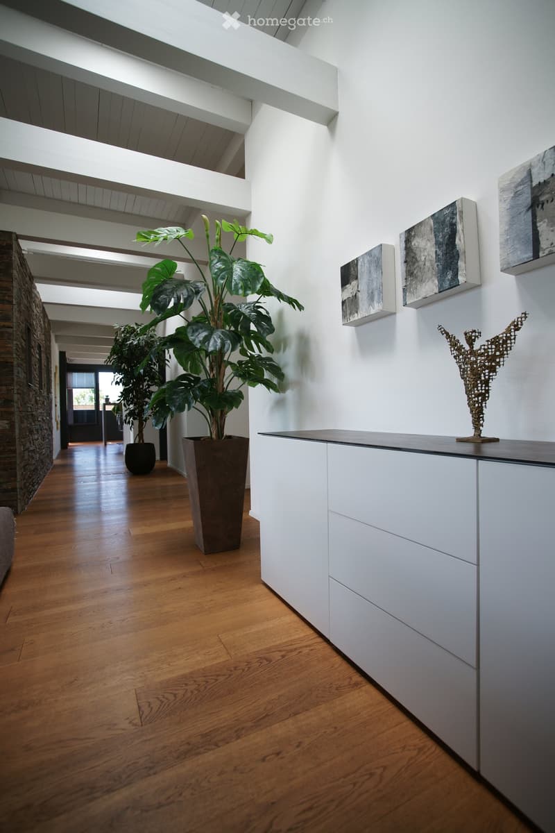 wooden floor, white walls, large potted plants, white cabinets, modern art pieces