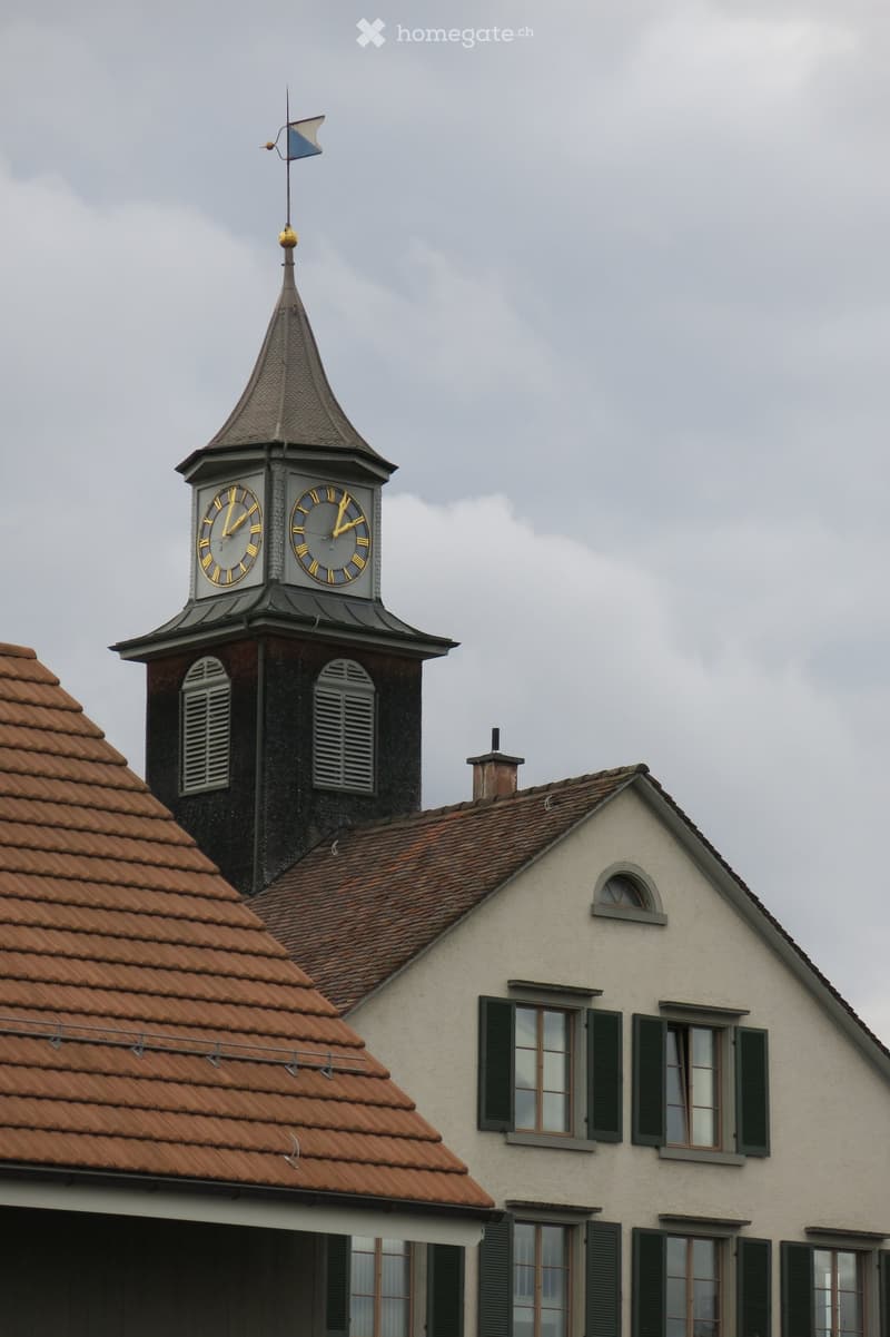 House with a tower, brown roof, clock on the tower, windows with green shutters