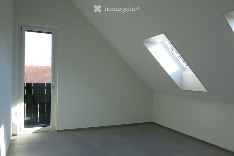 empty room, white walls, gray floor, glass door, two skylights