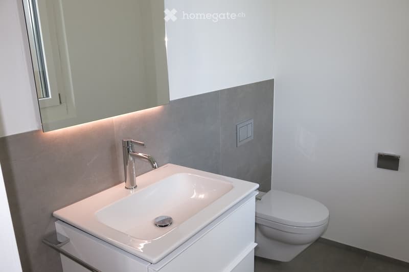 Modern bathroom with a white sink, chrome faucet, large mirror, and toilet. Grey tiled backsplash and white walls.