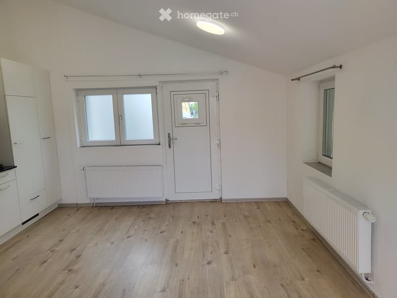 Empty room with wooden flooring, white walls, and a door with frosted glass panels. Radiators are present on both sides of the door.