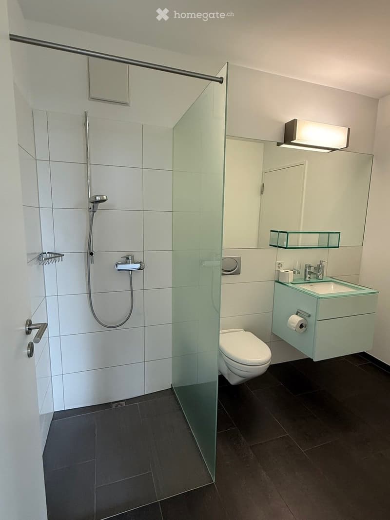 Modern bathroom with white tiles, glass shower enclosure, toilet, sink with faucet, and mirrored cabinet with glass shelves.