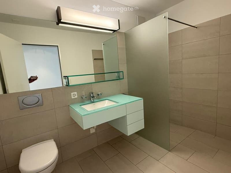 Modern bathroom with a glass-fronted sink cabinet, a toilet, a large mirror, and a glass shower enclosure.