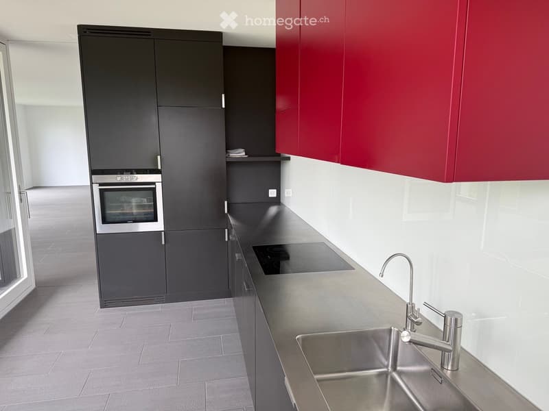 Modern kitchen with stainless steel sink, faucet, built-in oven, induction cooktop, and dark grey and red cabinets.