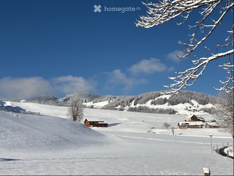 snowy mountains, snow covered trees, houses