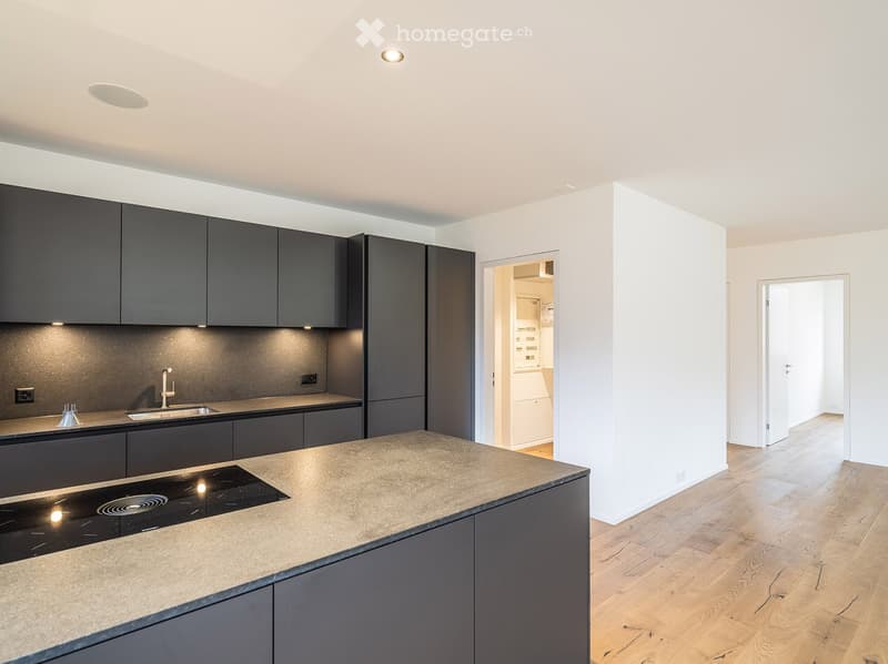 Modern kitchen, dark grey cabinets, granite countertop, built-in stove, modern lighting