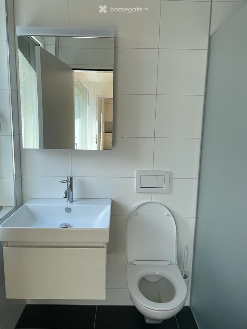 Modern bathroom with white tiles, a sink with a faucet, a mirror, and a toilet. The sink has a built-in cabinet below.
