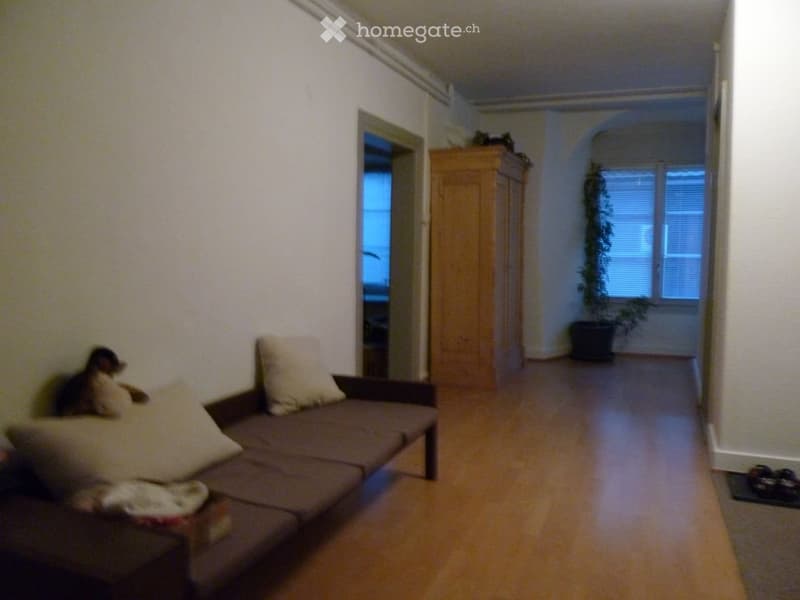 A small, cozy living space with a sofa, pillows, a wardrobe, and a potted plant in the corner.