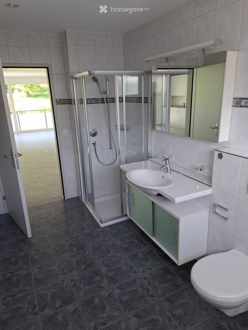 Modern bathroom with a white sink, toilet, mirror, and glass-enclosed shower. Grey tiled floor and walls.