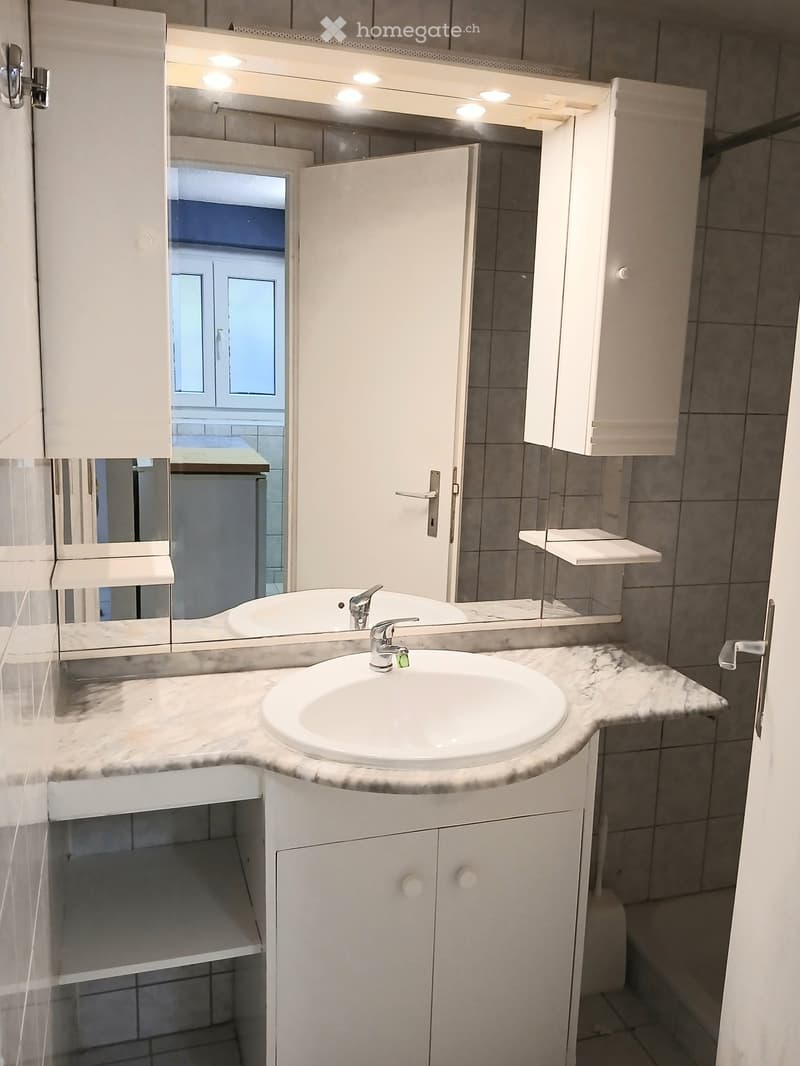 white vanity, white sink, faucet, mirror, wall-mounted shelves, tiled wall, shower enclosure
