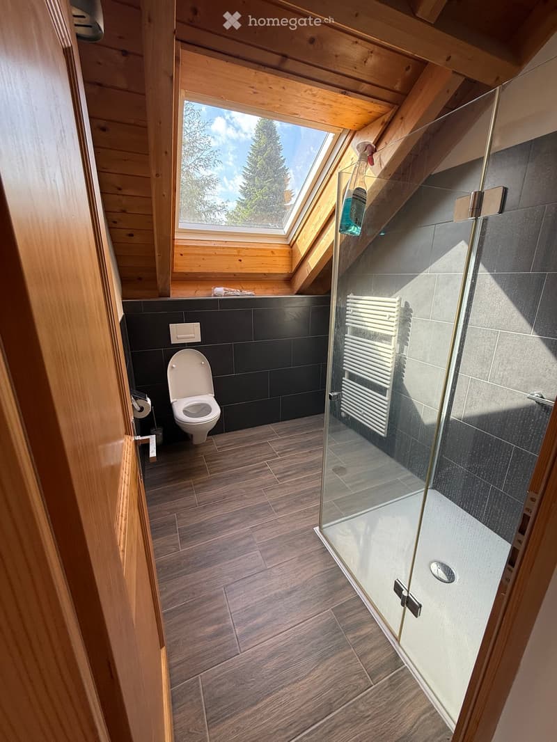 Modern bathroom with wooden ceiling, skylight window, toilet, glass shower enclosure, and radiator.