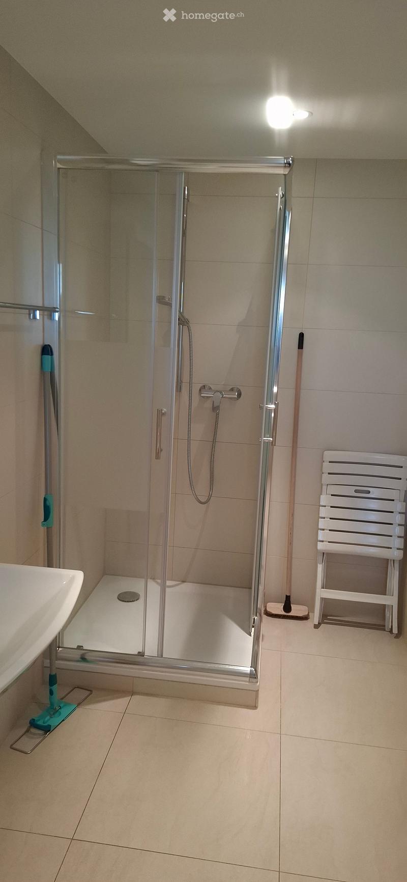 Modern bathroom with a glass-enclosed shower, a white towel rack, a sink, and a mop leaning against the wall.
