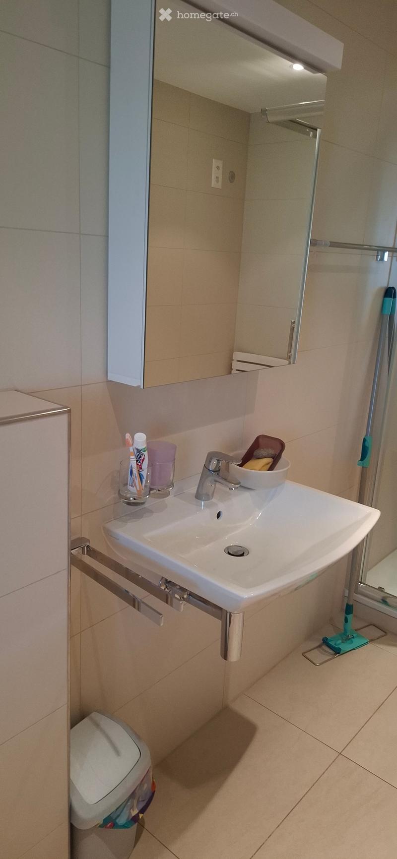 Modern bathroom with a white sink, chrome faucet, toothbrush holder, cup, and a toilet. A mop is visible in the corner.