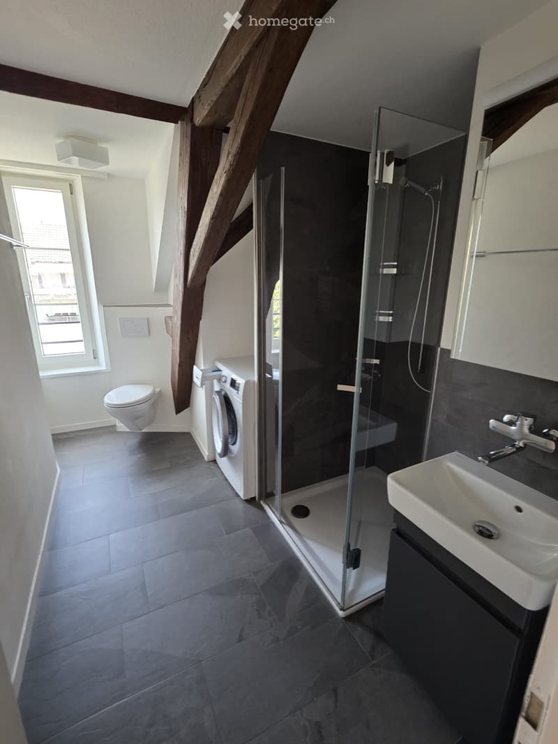 Modern bathroom with a glass-enclosed shower, toilet, washing machine, and sink. The space features exposed wooden beams and a large window providing natural light.