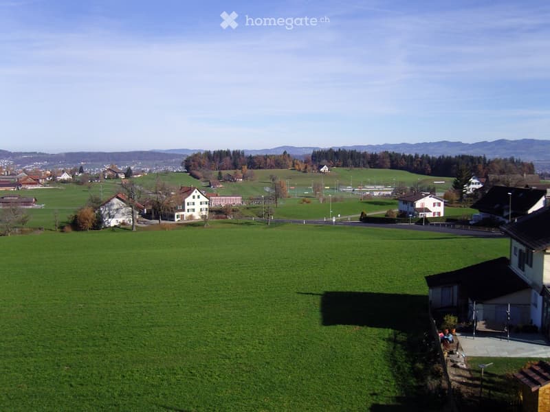 Aerial view of a rural landscape with green fields, scattered houses, and distant mountains under a clear sky.