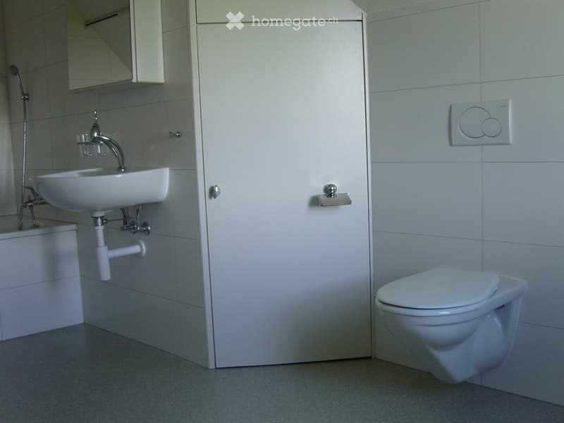 Modern bathroom with white tiles, a wall-mounted sink, a toilet, a mirror, and a cabinet.