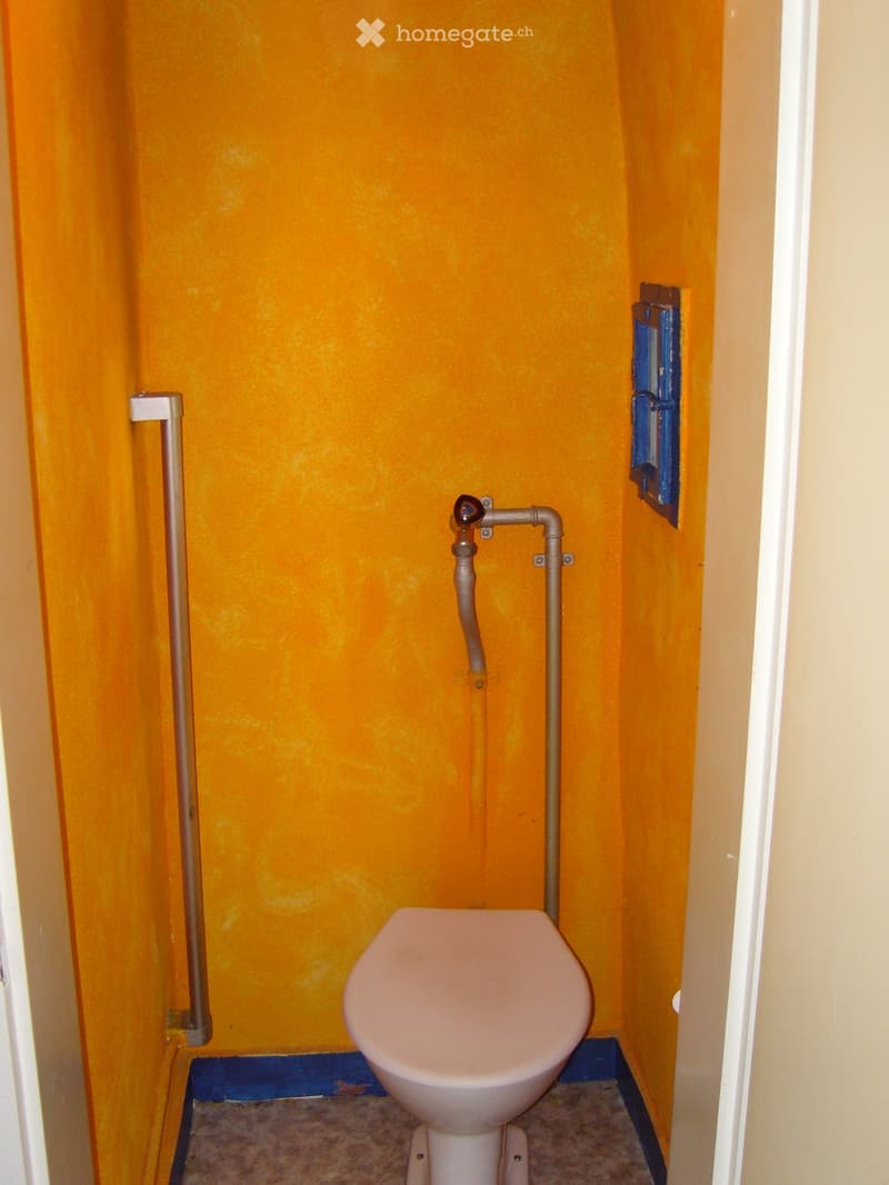 Small bathroom with bright yellow walls, a white toilet, and a simple faucet on the wall.