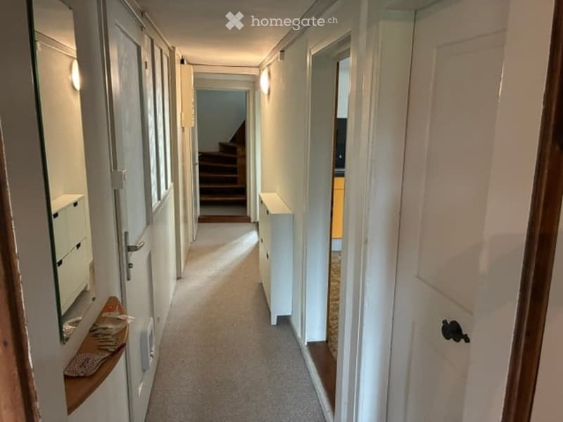 A narrow hallway with white walls, carpeted floor, and several doors on both sides. Natural light filters in from windows on the left side, and a small wooden shelf is visible near the left entrance.
