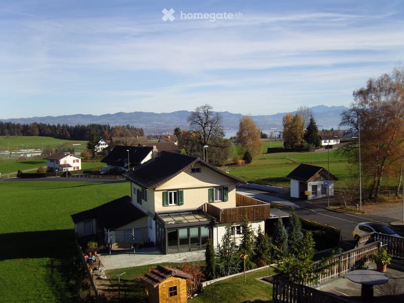 A two-story house with a modern design, surrounded by a well-maintained garden and trees, with a scenic view of mountains and a lake in the background.