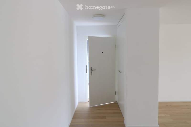 A clean, minimalist hallway with light wooden flooring, white walls, and a single closed door leading to another room. The space is well-lit with a ceiling light fixture.