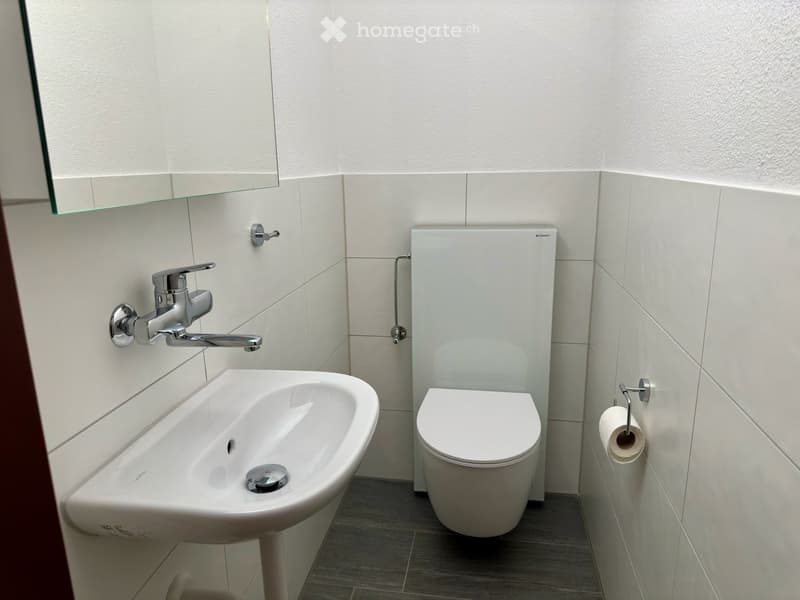 Modern bathroom with a white sink, chrome faucet, toilet, and toilet paper holder. The walls are tiled in light gray, and the floor is covered with dark gray tiles.