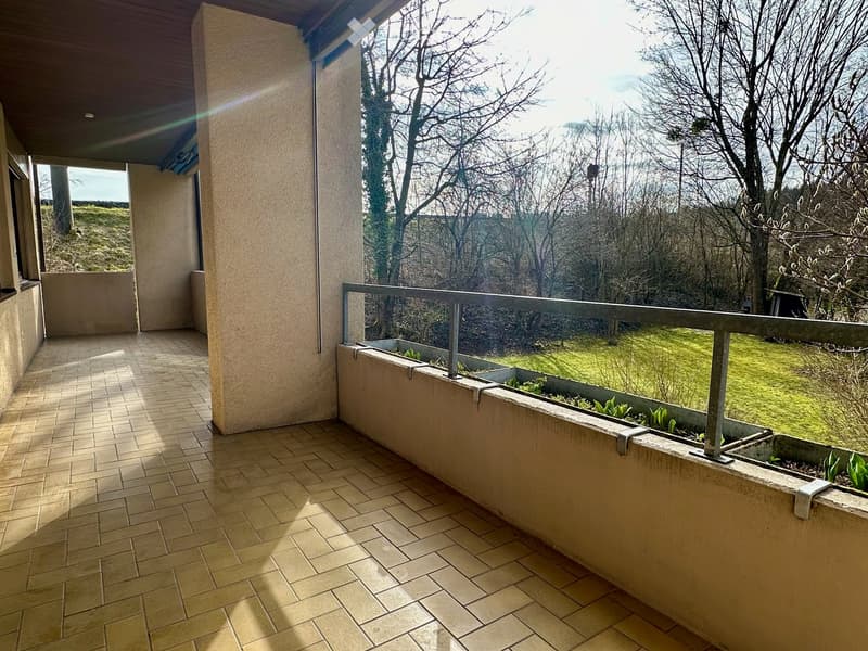 Balcony with tiled floor, metal railing, and small planters, overlooking a grassy area with trees.