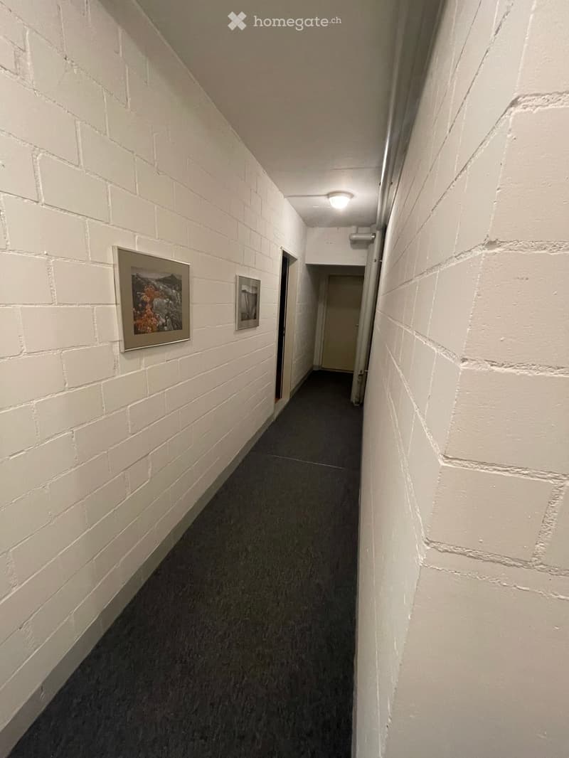 A narrow hallway with white brick walls, carpeted floor, and two framed pictures on the left wall. A ceiling light illuminates the space, and a door is visible at the end of the hallway.