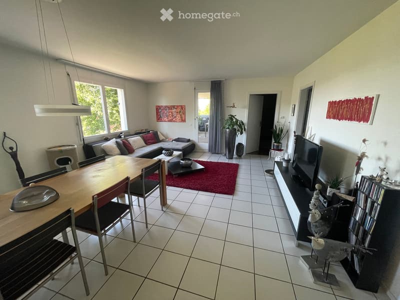 Bright living and dining area with a sofa, dining table, chairs, coffee table, TV, and decorative items.