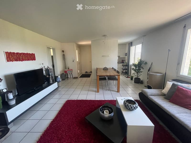 A modern living room with a grey sofa, coffee table, dining table, chairs, television, and decorative items including a plant and vases.