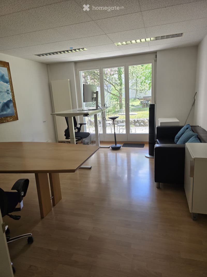 A modern, well-lit room with wooden flooring, a large window, a sofa, a table, and a screen. The room features a sleek, contemporary design with a mix of furniture and decor.