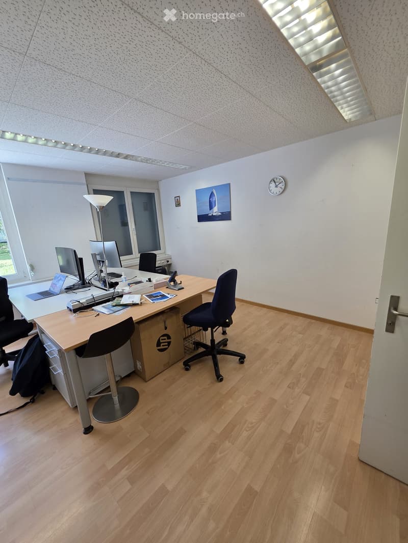 Office space with wooden flooring, a large desk with chairs, a laptop, monitors, a floor lamp, and a clock on the wall.