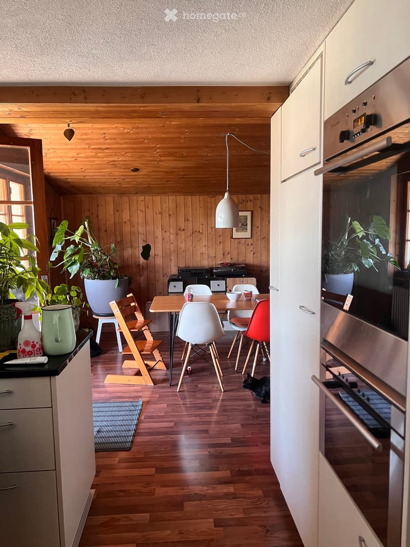 A modern kitchen and dining area with wooden walls and flooring, featuring a dining table with chairs, a cat, and various kitchen appliances.