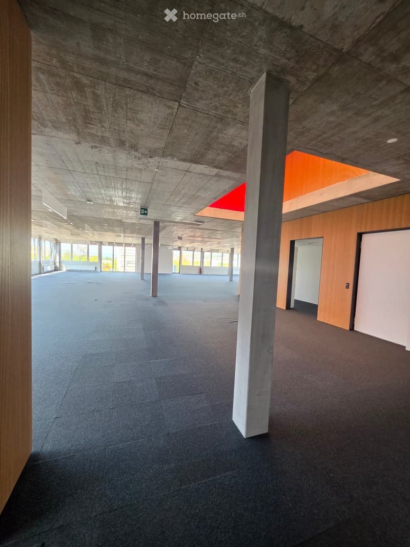 Empty hallway with concrete ceiling, carpeted floor, large windows, and wooden paneling on one side.