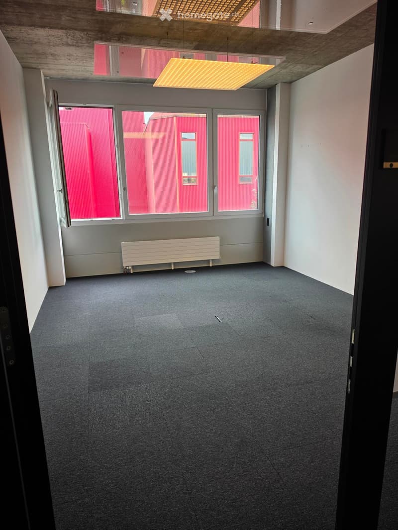 Empty room with grey carpeted floor, white walls, a radiator, and large windows with pink exterior view.