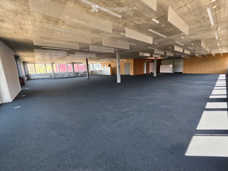 Large, empty room with blue carpeted floor, exposed concrete ceiling with linear lighting, and large windows allowing natural light. Minimalist design with no furniture.