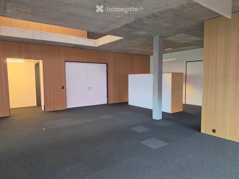 Empty room with wooden panel walls, carpeted floor, and a central column. Features include a double door, a small white cabinet, and a skylight in the ceiling.