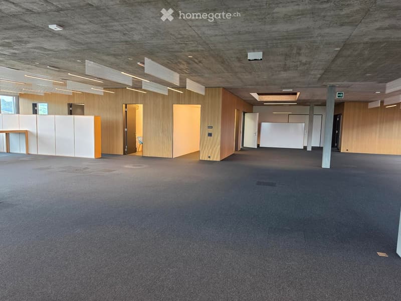 Empty room with grey carpeted floor, wooden panel walls, and several open doors leading to other spaces. Minimalist design with exposed concrete ceiling and linear lighting fixtures.