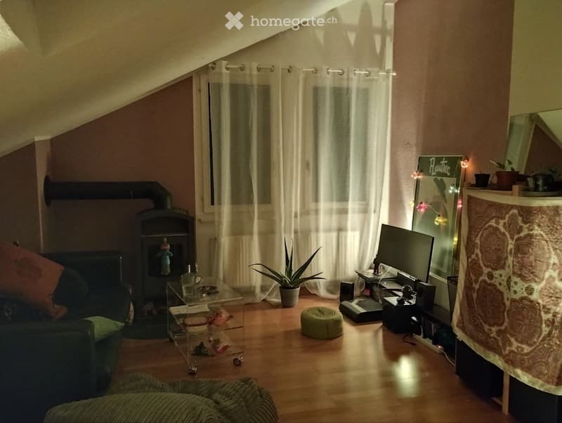 Cozy living room with slanted ceiling, wooden floor, sofa, ottoman, coffee table, screen, plant, and decorative items.