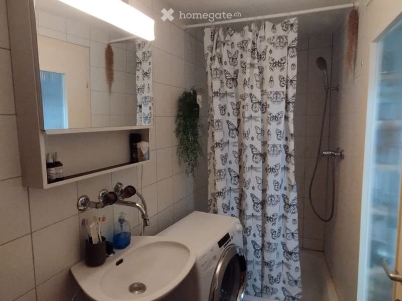 Bathroom with a sink, mirror, shower, and washing machine. Butterfly-patterned shower curtain, toothbrush holder, and soap dispenser visible.