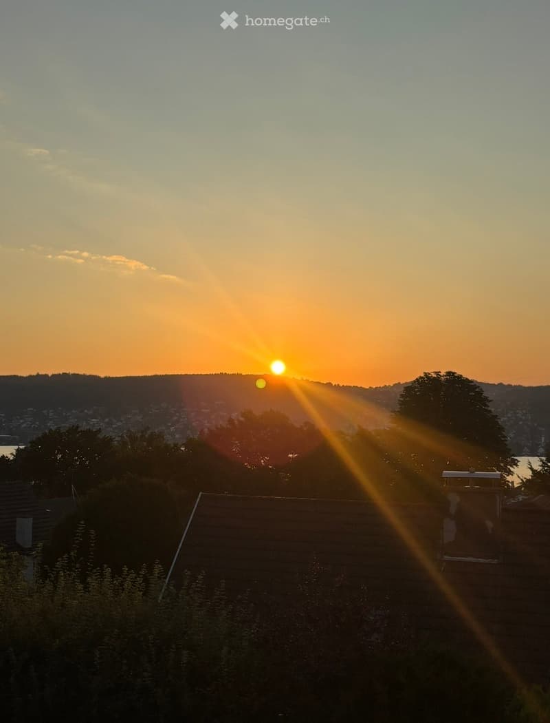 View of a cityscape at sunset from a rooftop, with the sun low on the horizon and light rays shining through the trees.