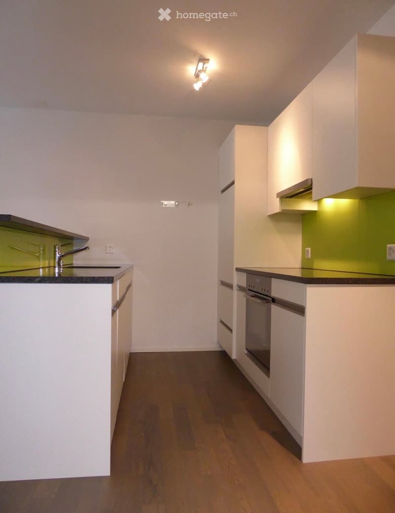 Modern, minimalist kitchen with white cabinets, dark countertops, and a sleek stainless steel dishwasher. The space features a wooden floor and built-in lighting.