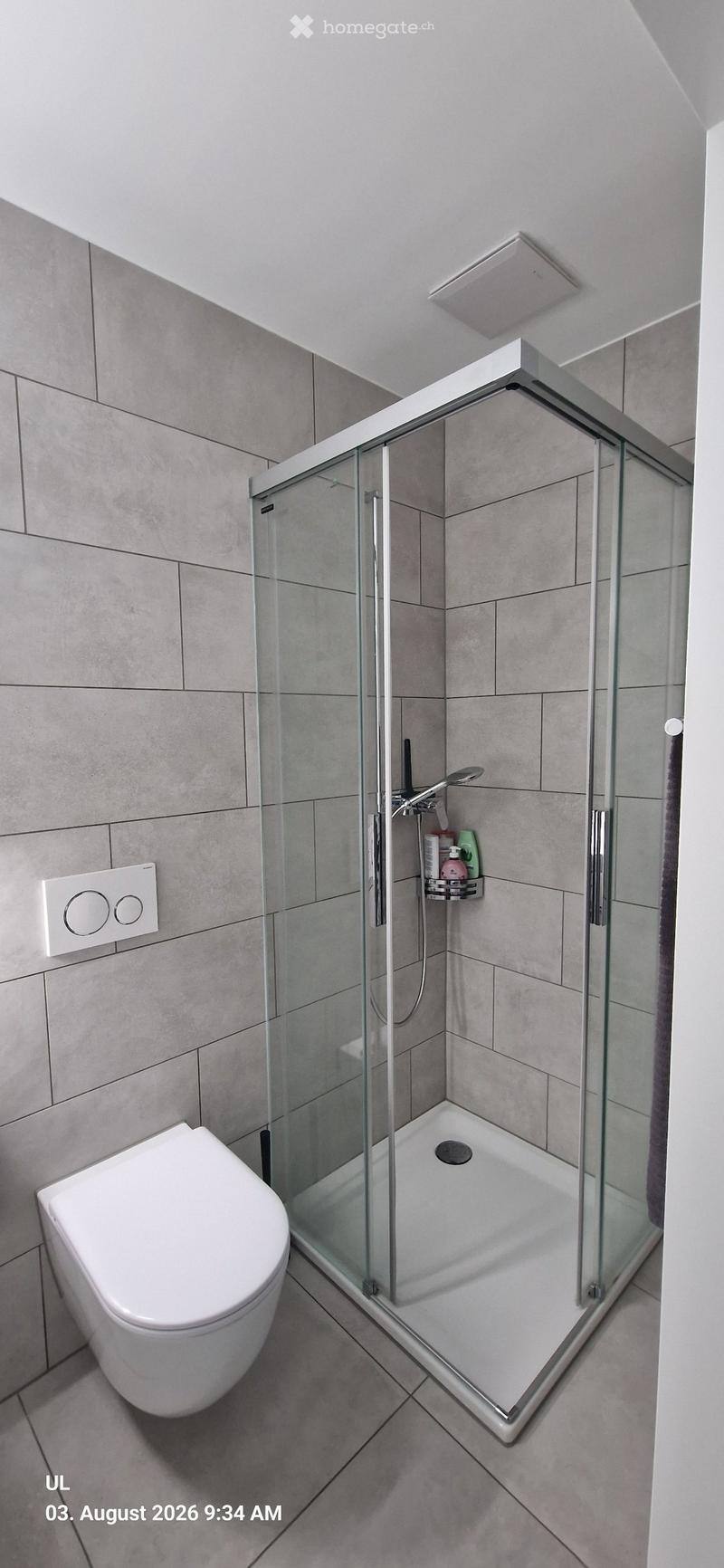 Modern bathroom with a white toilet, a glass-enclosed shower, and a shower shelf holding toiletries.